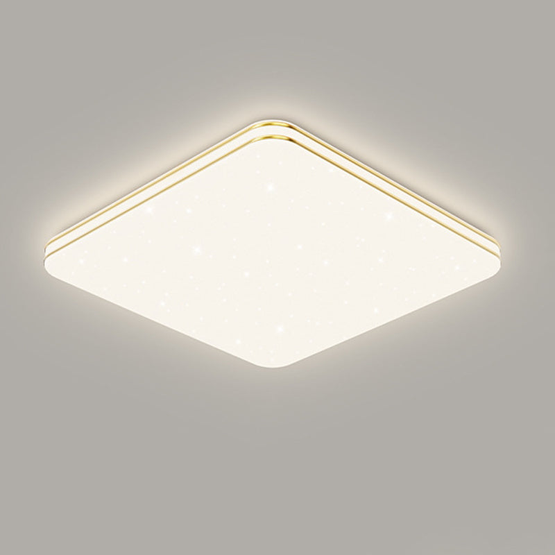 Single Golden Flush Mount Lighting LED Ceiling Light for Living Room