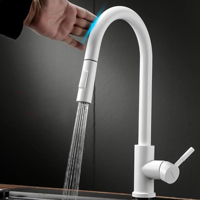 Modern Style Retractable Kitchen Faucet Stainless Steel 1-Handle Kitchen Faucet