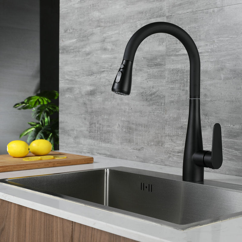 Modern Style Retractable Kitchen Faucet Stainless Steel Single Handle Kitchen Faucet