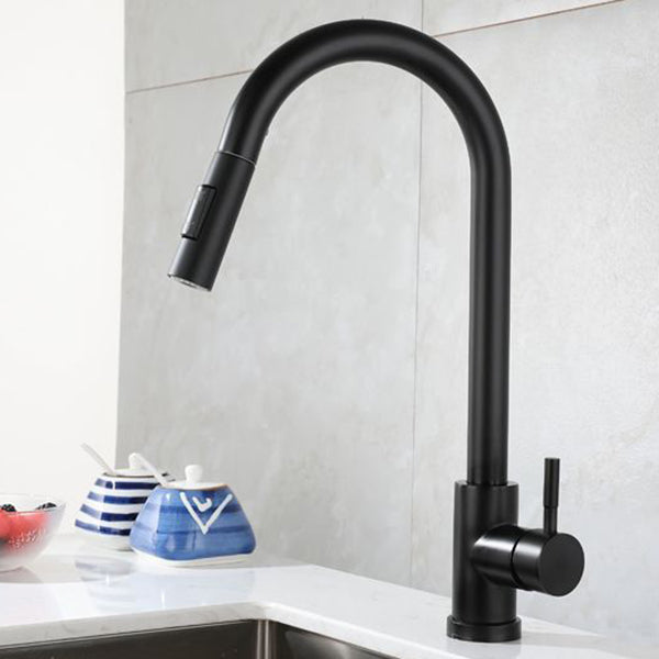 Modern Pull down Sprayer Water Filler One Handle High Arch Kitchen Faucet