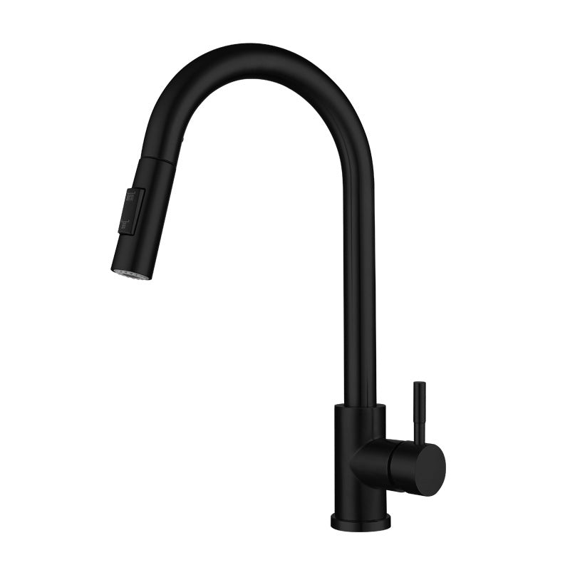 Modern Pull down Sprayer Water Filler One Handle High Arch Kitchen Faucet