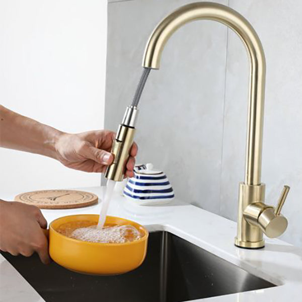 Modern Pull down Sprayer Water Filler One Handle High Arch Kitchen Faucet