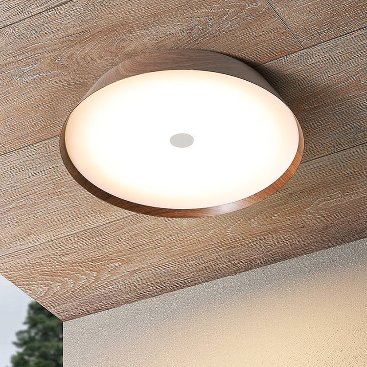 Single White/Brown Flush Mount Lighting Circle LED Ceiling Light