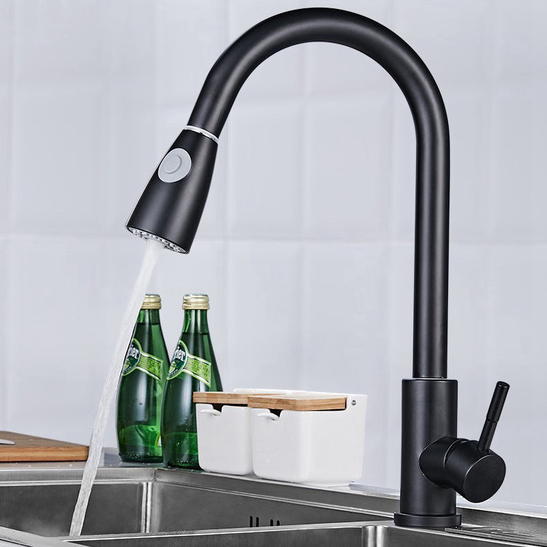 Modern 1-Handle Faucet 304 Stainless Steel with Water Dispenser Pull down Faucet