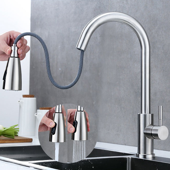 Modern 1-Handle Faucet 304 Stainless Steel with Water Dispenser Pull down Faucet