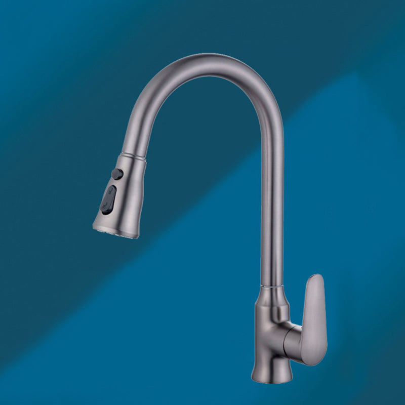 Modern 1-Handle Faucet with Pull out Sprayer with Water Dispenser Copper Faucet