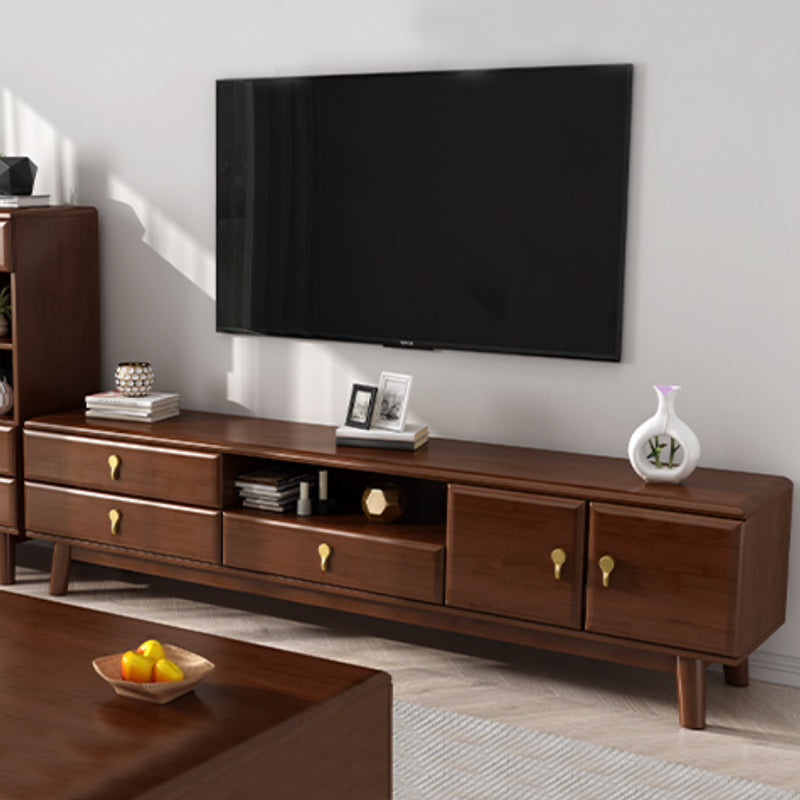 Scandinavian Wood TV Stand Console Open Storage TV Media Stand with Doors for Living Room