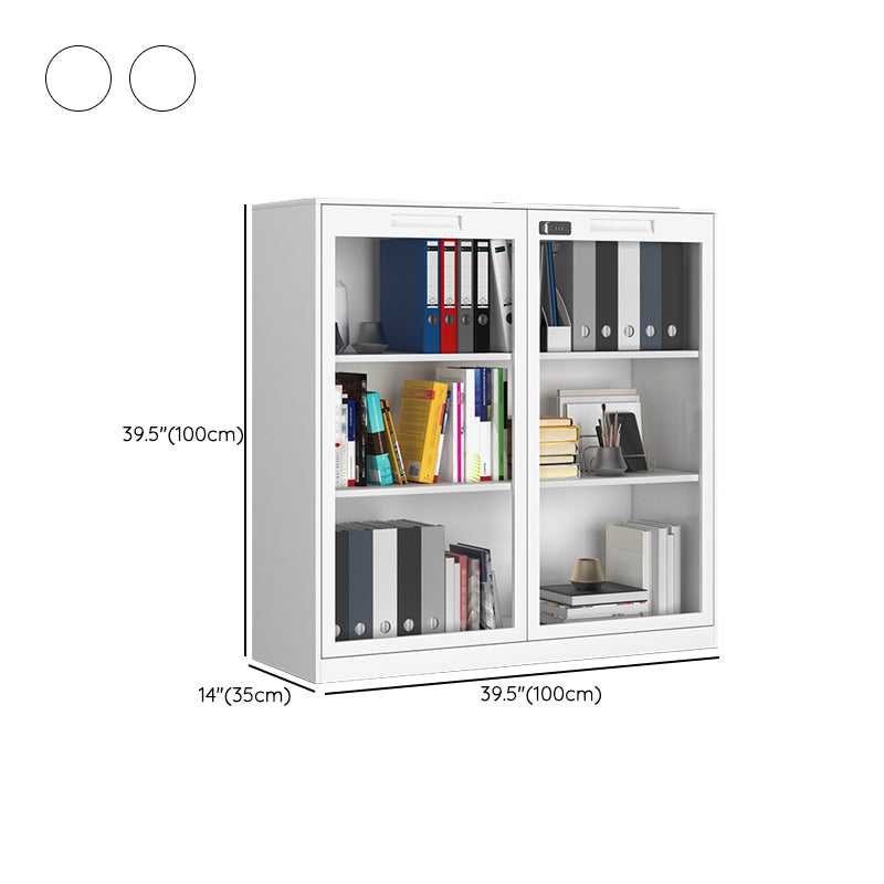 Modern Style Vertical Filing Cabinet Glass Filing Cabinet with Locking Storage