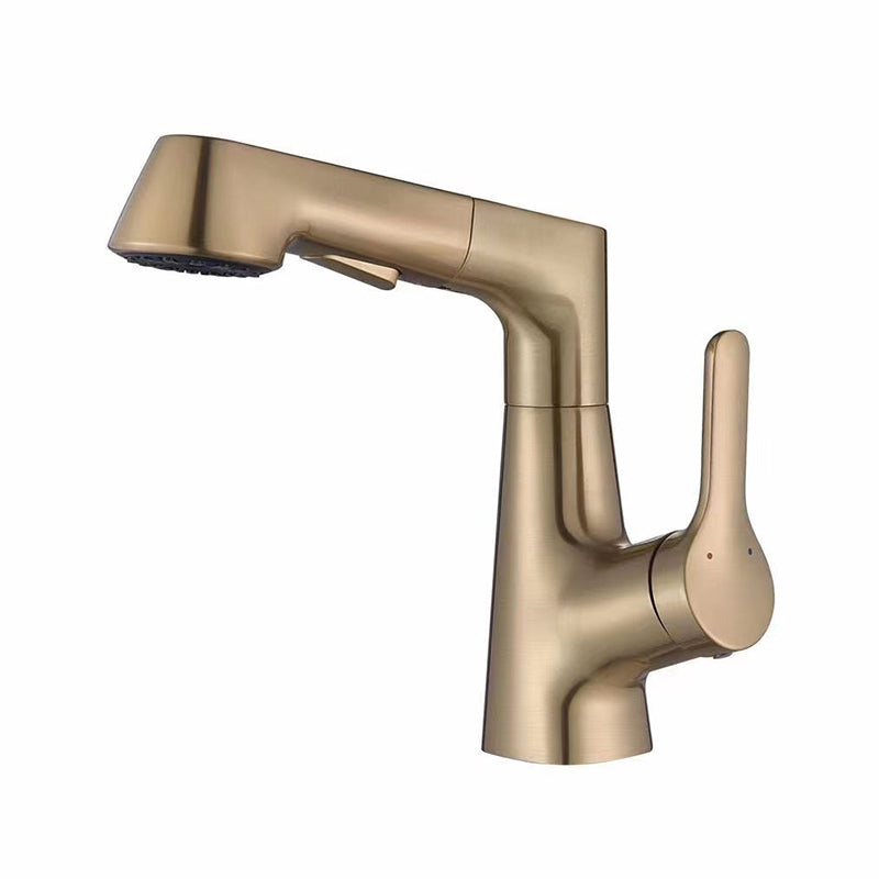 Modern Faucet 1-Handle and 1-Hole Copper with Pull out Sprayer Faucet