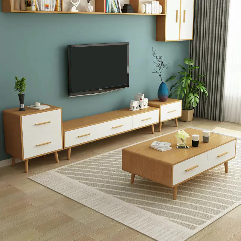 Contemporary Wood TV Stand Console Enclosed Storage TV Media Stand for Living Room