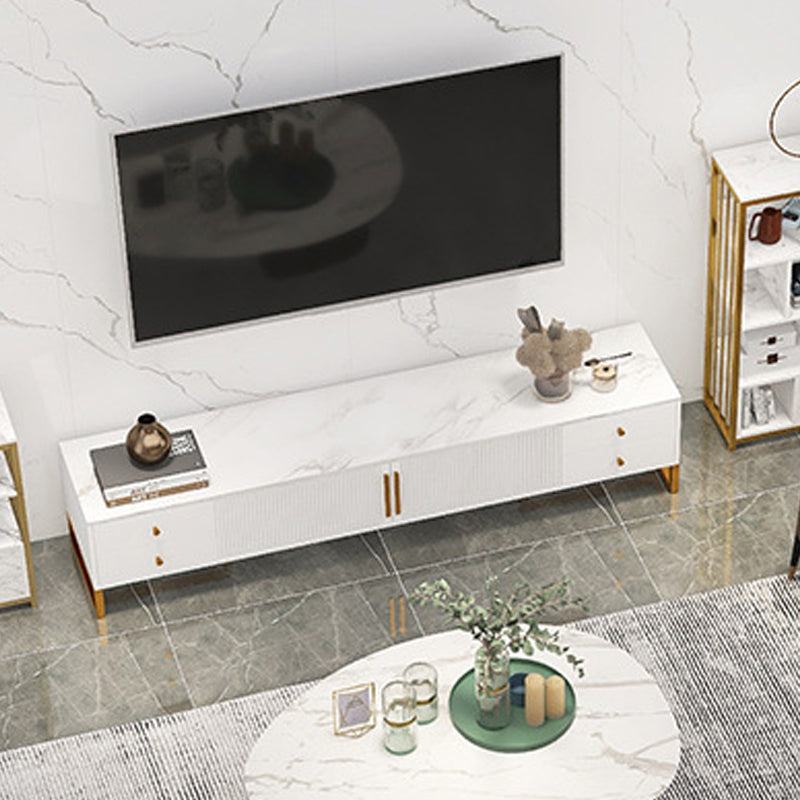 Modern Marble TV Stand Enclosed Storage TV Media Console with Metal Legs for Living Room