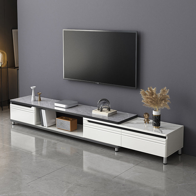 Modern Enclosed Storage TV Stand Engineered Wood TV Console with Sliding Storage