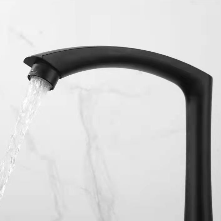 Modern Faucets 1-Handle with Water Dispenser Standard Kitchen Faucets