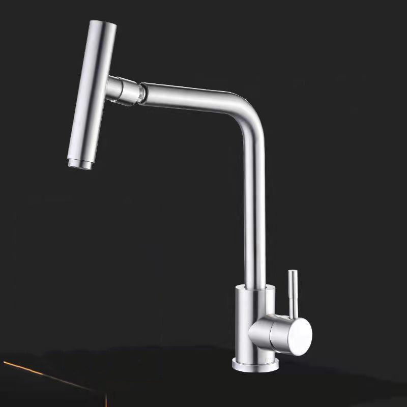 1-Handle Faucets with Water Dispenser Stainless Steel Standard Kitchen Faucets