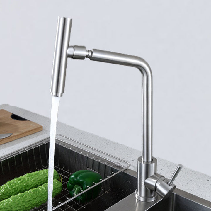 1-Handle Faucets with Water Dispenser Stainless Steel Standard Kitchen Faucets