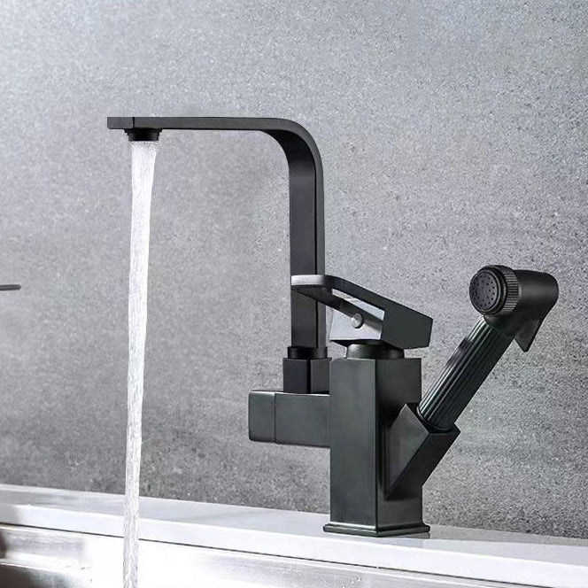 Modern 1-Handle Faucet with Water Dispenser with Pull out Sprayer Faucet