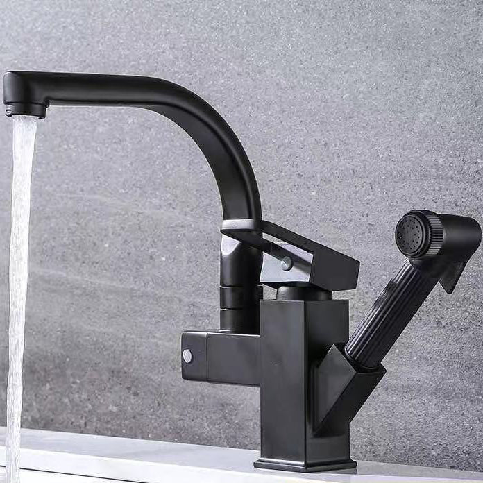 Modern 1-Handle Faucet with Water Dispenser with Pull out Sprayer Faucet