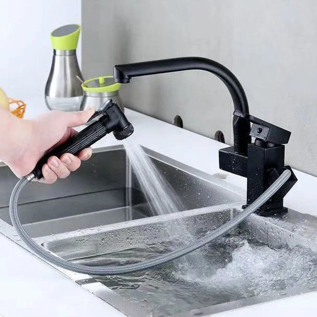 Modern 1-Handle Faucet with Water Dispenser with Pull out Sprayer Faucet