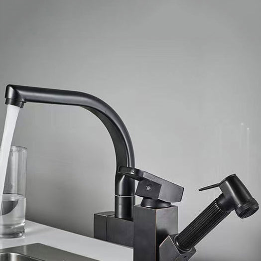 Modern 1-Handle Faucet with Water Dispenser with Pull out Sprayer Faucet