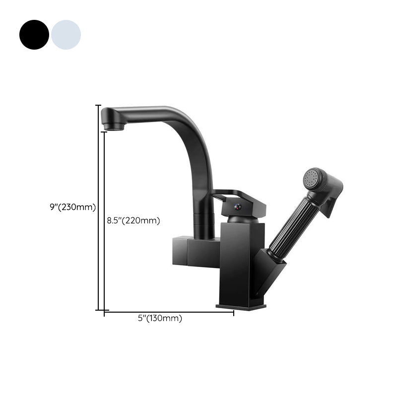 Modern 1-Handle Faucet with Water Dispenser with Pull out Sprayer Faucet