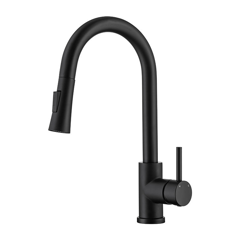 Modern Style Retractable Vessel Faucet Single Handle Stainless Steel Vessel Faucet