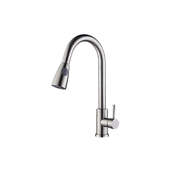 Modern Spray Kitchen Faucet Stainless Steel with Pull Out Sprayer Bar Faucet