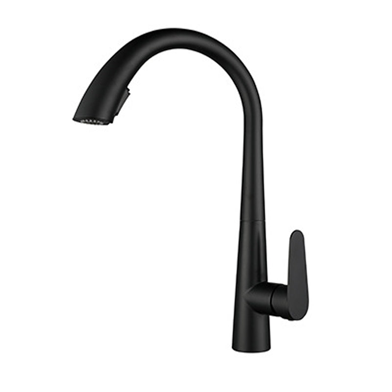 Modern Style Kitchen Faucet 304 Stainless Steel Single Handle Gooseneck Kitchen Faucet