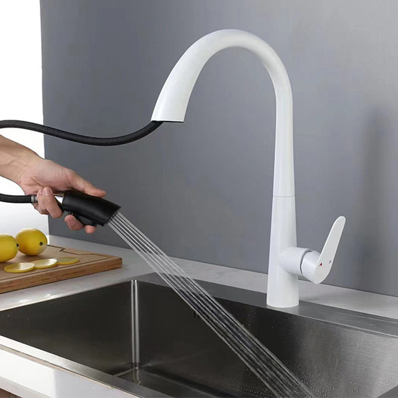 Modern Style Kitchen Faucet 304 Stainless Steel Single Handle Gooseneck Kitchen Faucet