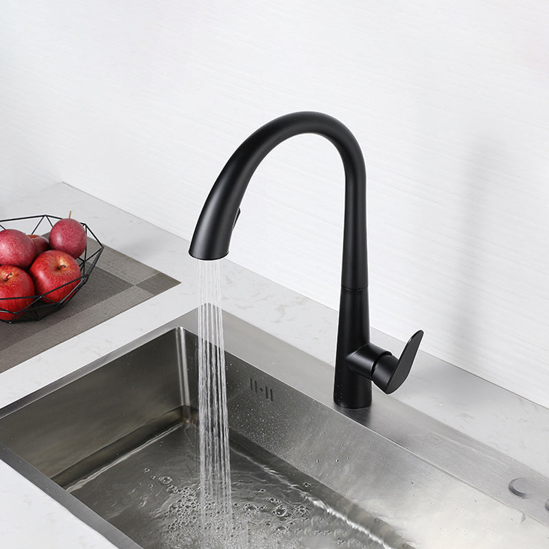 Modern Style Kitchen Faucet Stainless Steel Single Handle Gooseneck Kitchen Faucet