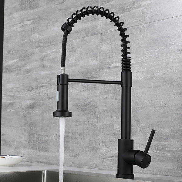 Modern Spring Spout Faucets 1-Handle 1-Hole with Water Dispenser Standard Kitchen Faucets