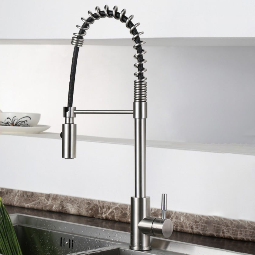 Modern Spring Spout Faucets 1-Handle 1-Hole with Water Dispenser Standard Kitchen Faucets