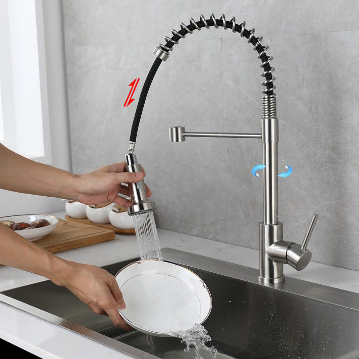 Modern Spring Spout Faucets 1-Handle 1-Hole with Water Dispenser Standard Kitchen Faucets