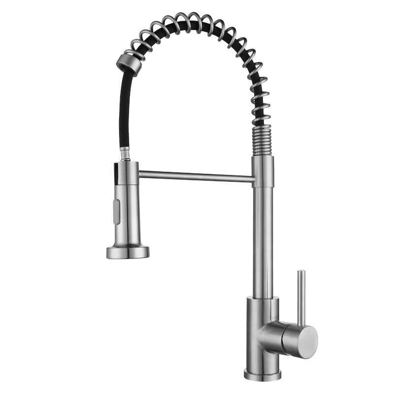 Modern Spring Spout Faucets 1-Handle 1-Hole with Water Dispenser Standard Kitchen Faucets