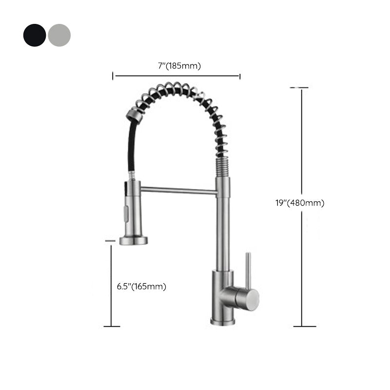 Modern Spring Spout Faucets 1-Handle 1-Hole with Water Dispenser Standard Kitchen Faucets