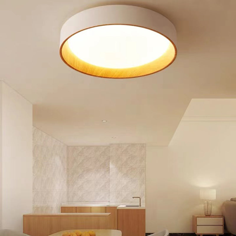 White Modernism Ceiling Light LED Flush Mount Lighting for Home Hallway