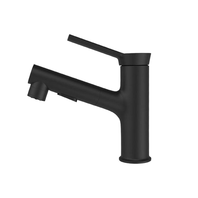 Modern Design Bathroom Faucet Single Handle Faucet with Water Hose