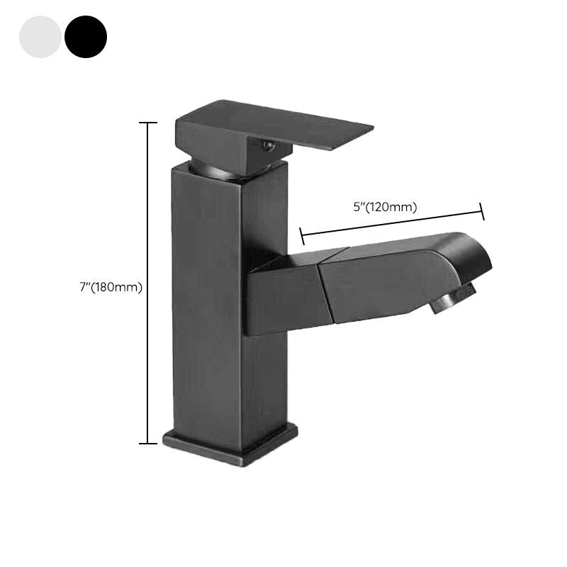 Modern Design Bathroom Faucet Single Handle Faucet with Water Hose