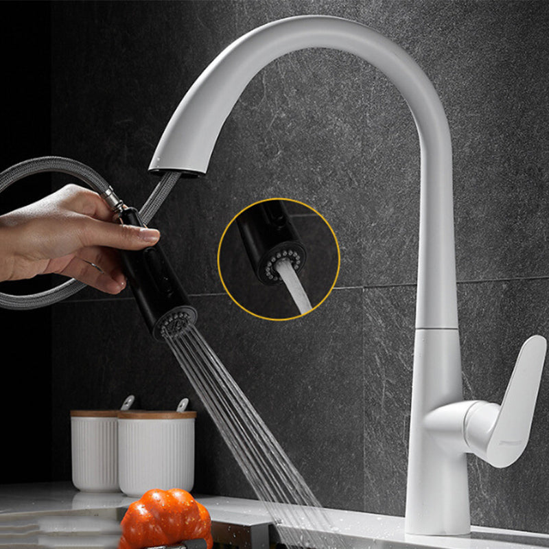 Single Handle Kitchen Faucet Pull Down Faucet with Pull out Sprayer