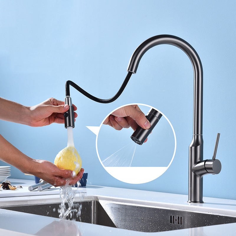 Modern 1-Handle Faucets Stainless Steel with Water Dispenser Pull down Faucets