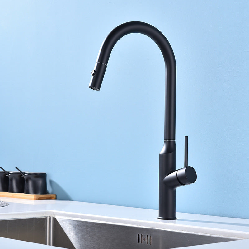 Modern 1-Handle Faucets Stainless Steel with Water Dispenser Pull down Faucets