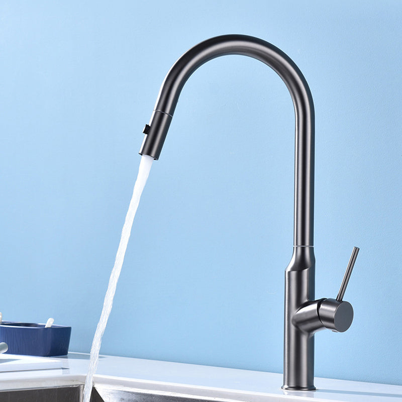 Modern 1-Handle Faucets Stainless Steel with Water Dispenser Pull down Faucets