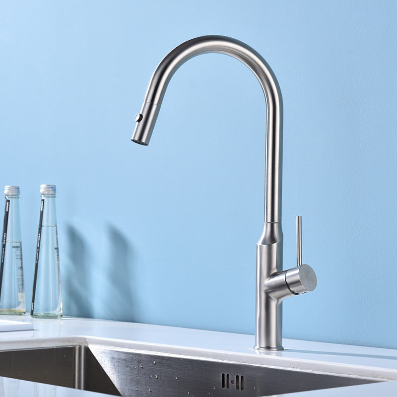 Modern 1-Handle Faucets Stainless Steel with Water Dispenser Pull down Faucets