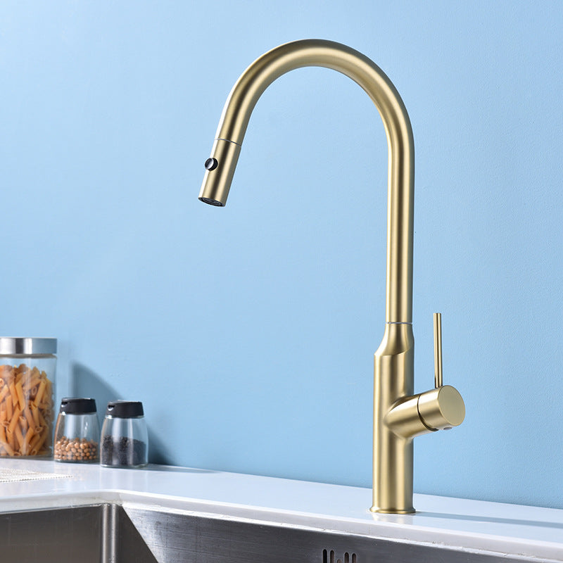 Modern 1-Handle Faucets Stainless Steel with Water Dispenser Pull down Faucets