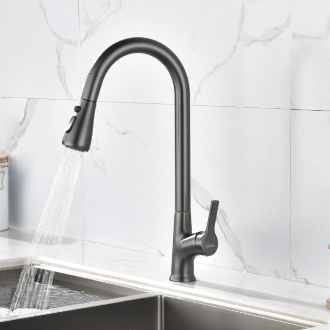 Modern 1-Handle Faucets Stainless Steel with Water Dispenser Pull down Faucets