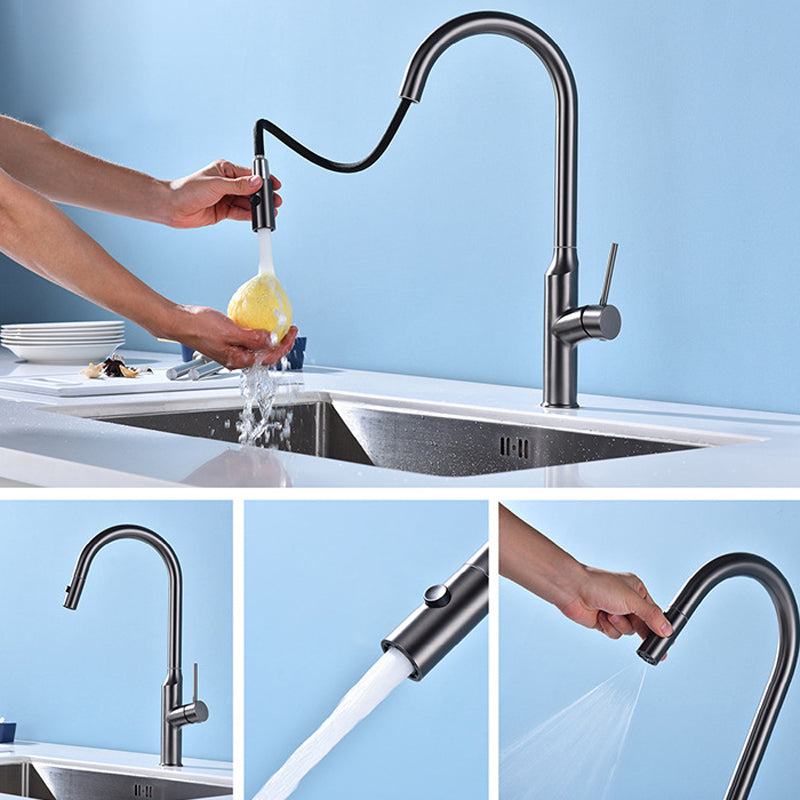 Modern 1-Handle Faucets Stainless Steel with Water Dispenser Pull down Faucets