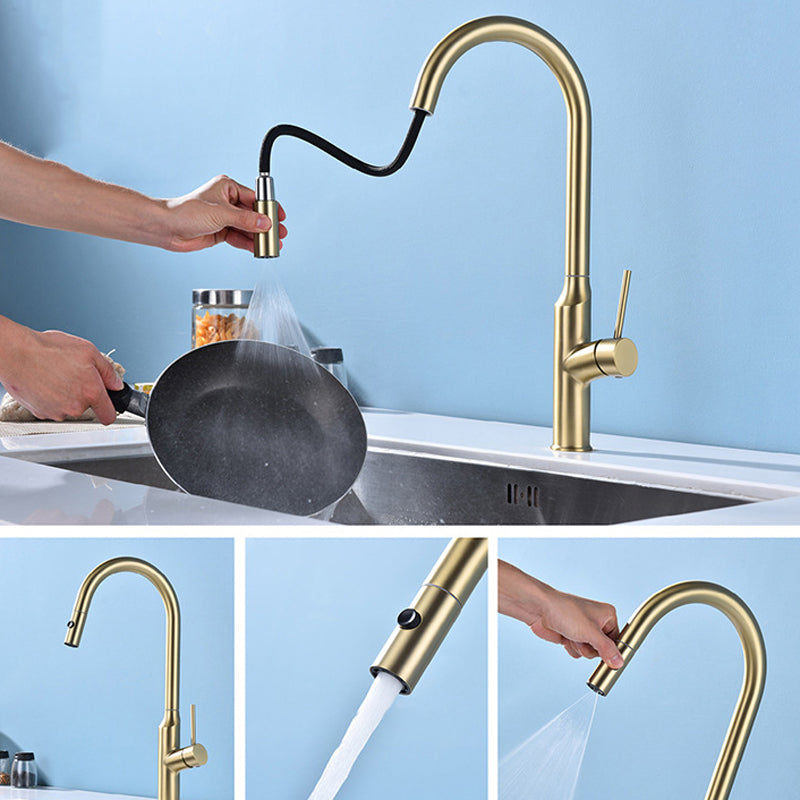 Modern 1-Handle Faucets Stainless Steel with Water Dispenser Pull down Faucets