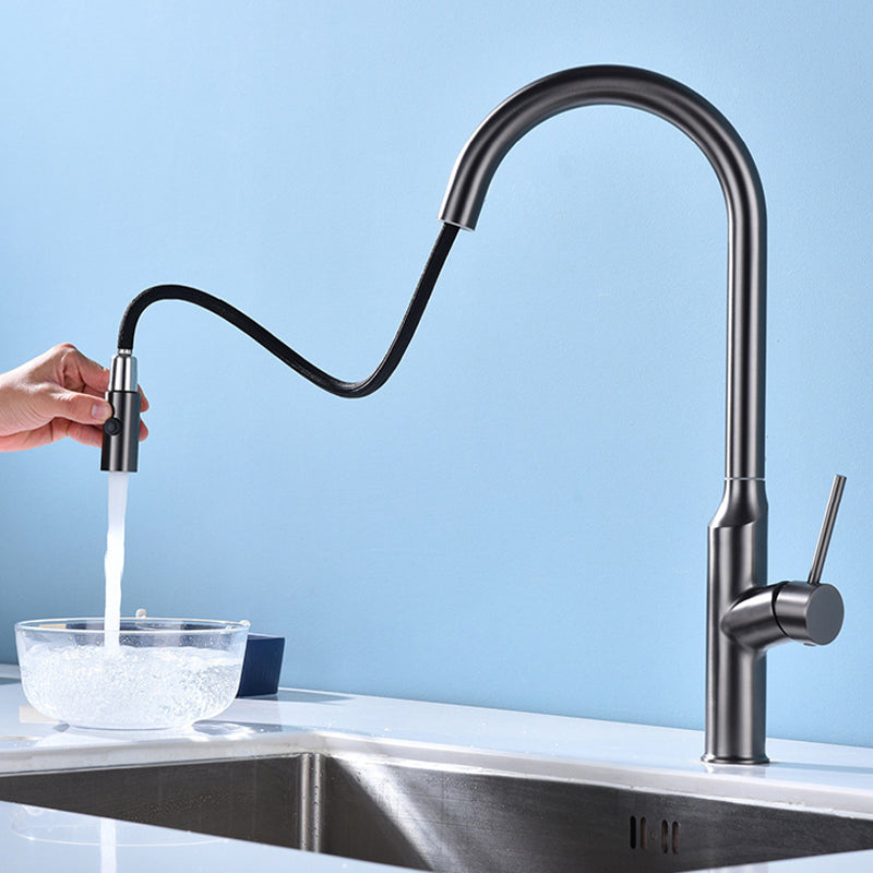 Modern 1-Handle Faucets Stainless Steel with Water Dispenser Pull down Faucets