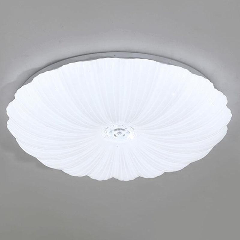 LED Modern Metal Flush Mount Shell Shape Ceiling Light with Acrylic Shade for Living Room