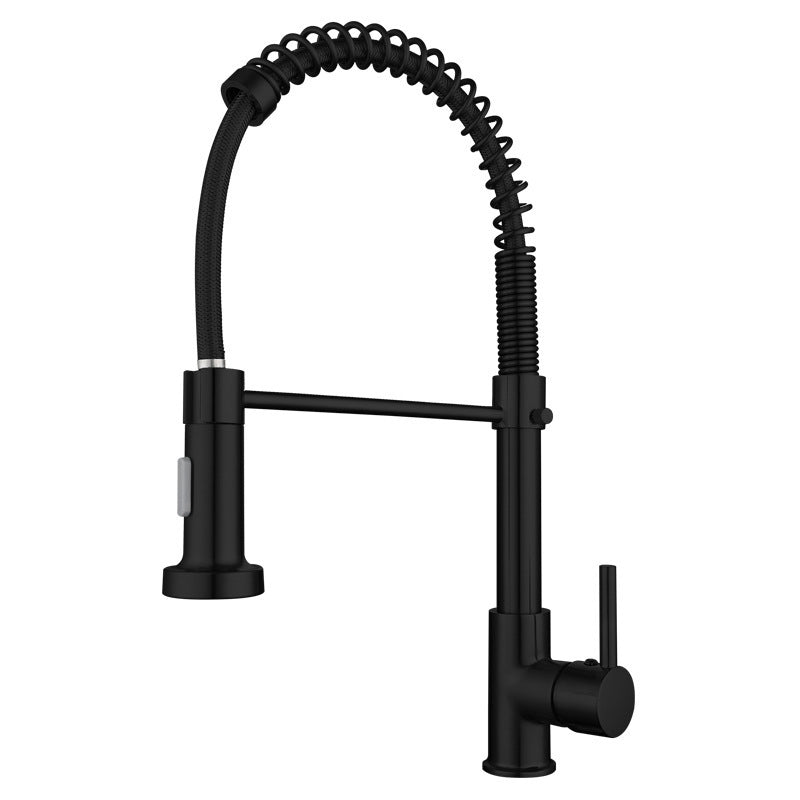 Modern Farmhouse Spring Spout Water Filler One Handle High Arch Kitchen Standard Faucet