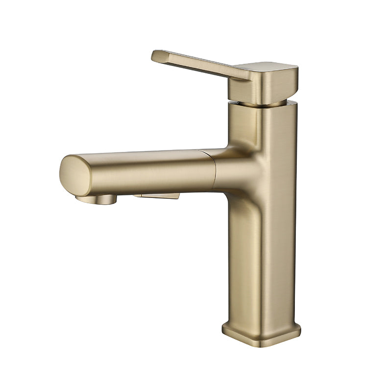 Modern Bathroom Faucet Brass Lever Handles Swivel Spout Bathroom Sink Faucet